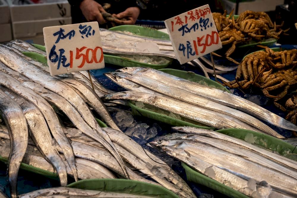 This experience offers dynamic market energy, world-class seafood cuisine, and fascinating insights into Tokyo's food industry infrastructure (Source: Freepik)